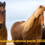 salon du cheval paris 2025