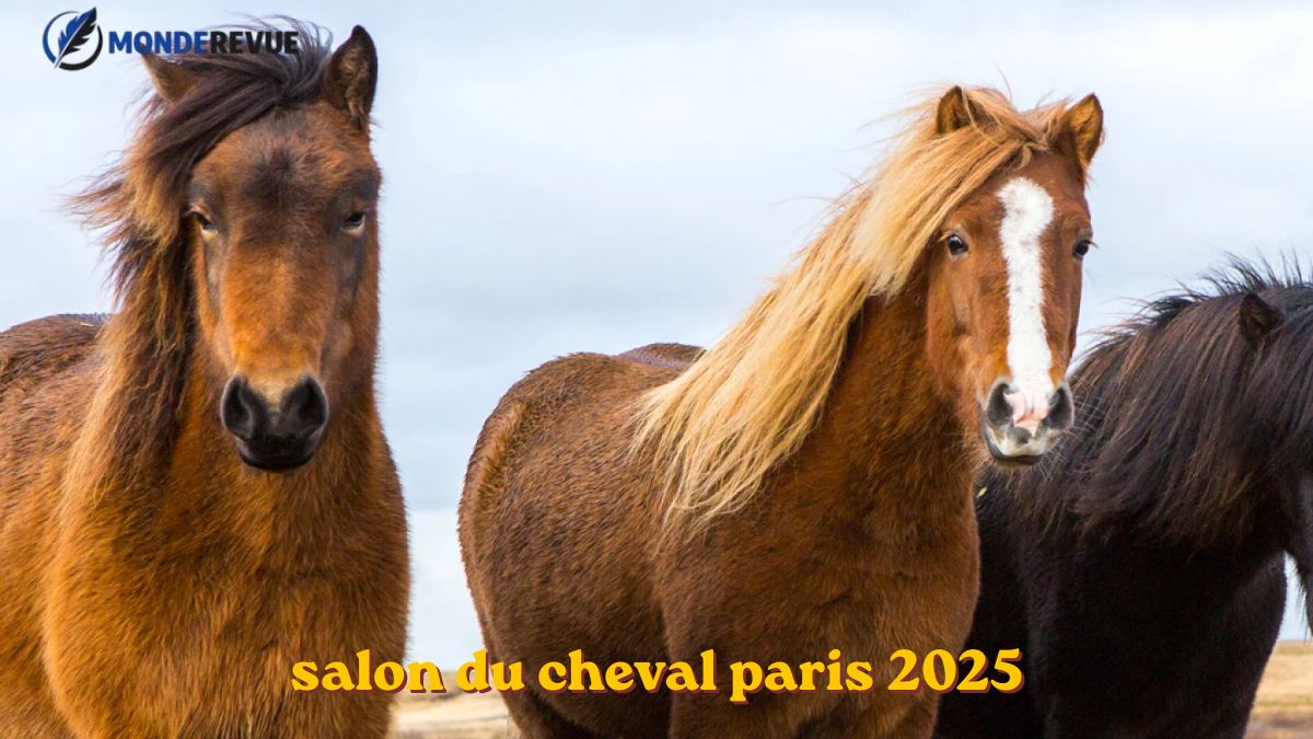 salon du cheval paris 2025 salon du cheval paris 2025
