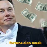 fortune elon musk