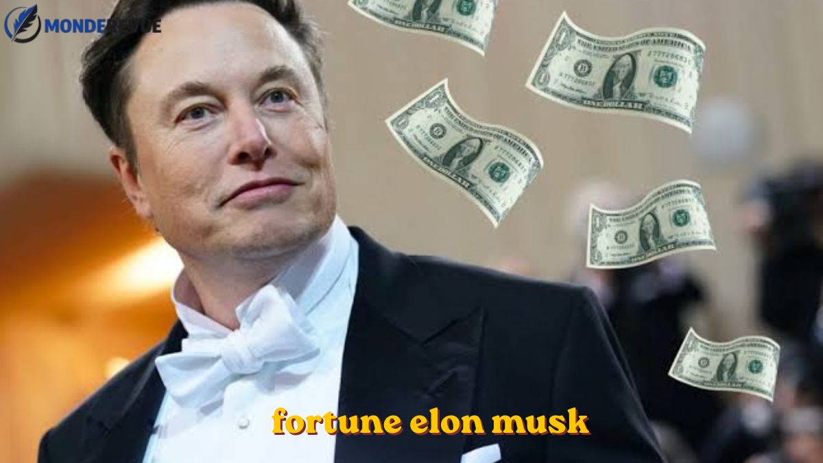 fortune elon musk