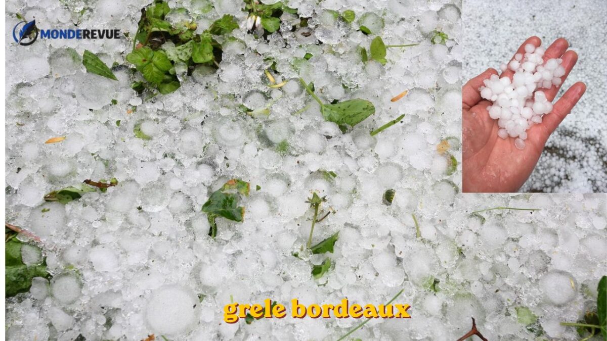 grele bordeaux