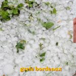 grele bordeaux