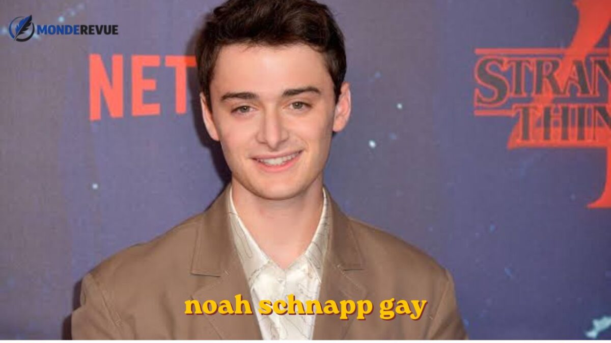 noah schnapp gay