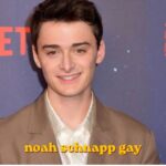 noah schnapp gay