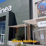 alinea herblay